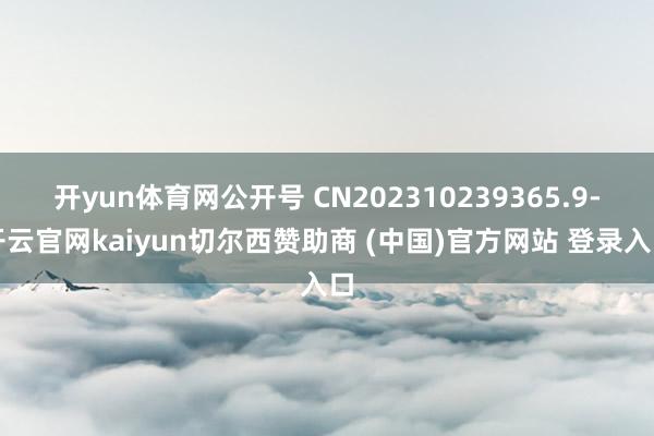 开yun体育网公开号 CN202310239365.9-开云官网kaiyun切尔西赞助商 (中国)官方网站 登录入口